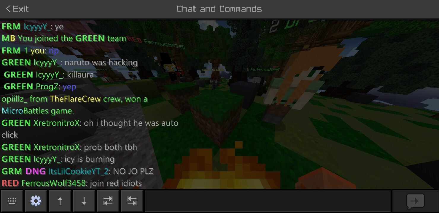 Minecraft_2020-06-11-23-53-51.jpg