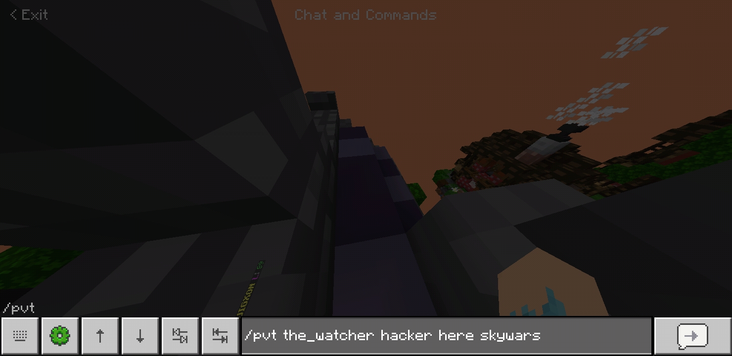 Minecraft_2020-07-25-01-34-47.jpg