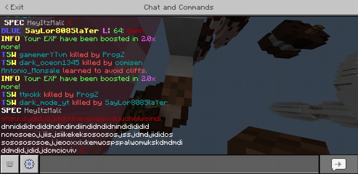 Minecraft_2020-08-04-10-01-10.jpg