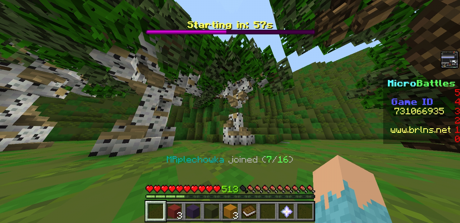 Minecraft_2020-08-04-23-15-35.jpg