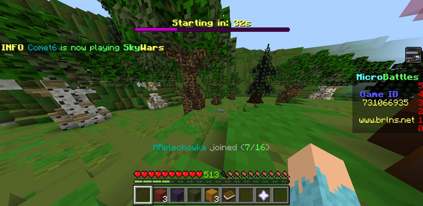 Minecraft_2020-08-04-23-16-00.jpg