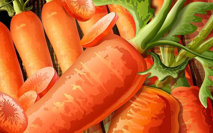 PSD_Food_illustrations_3122_fresh_carrot_illustration_carrots_picture.jpg