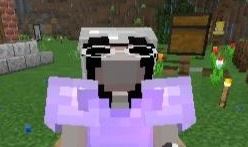 Punpng.JPG
