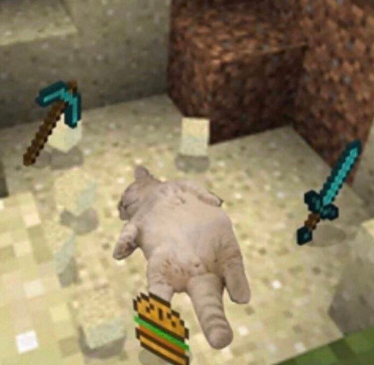 rach on Twitter.png