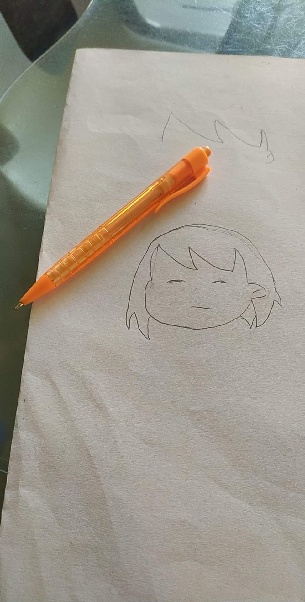 received_2663577397056628.jpeg