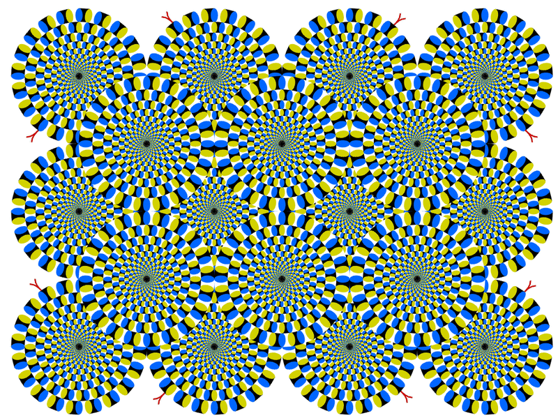 Rotating Snakes.gif