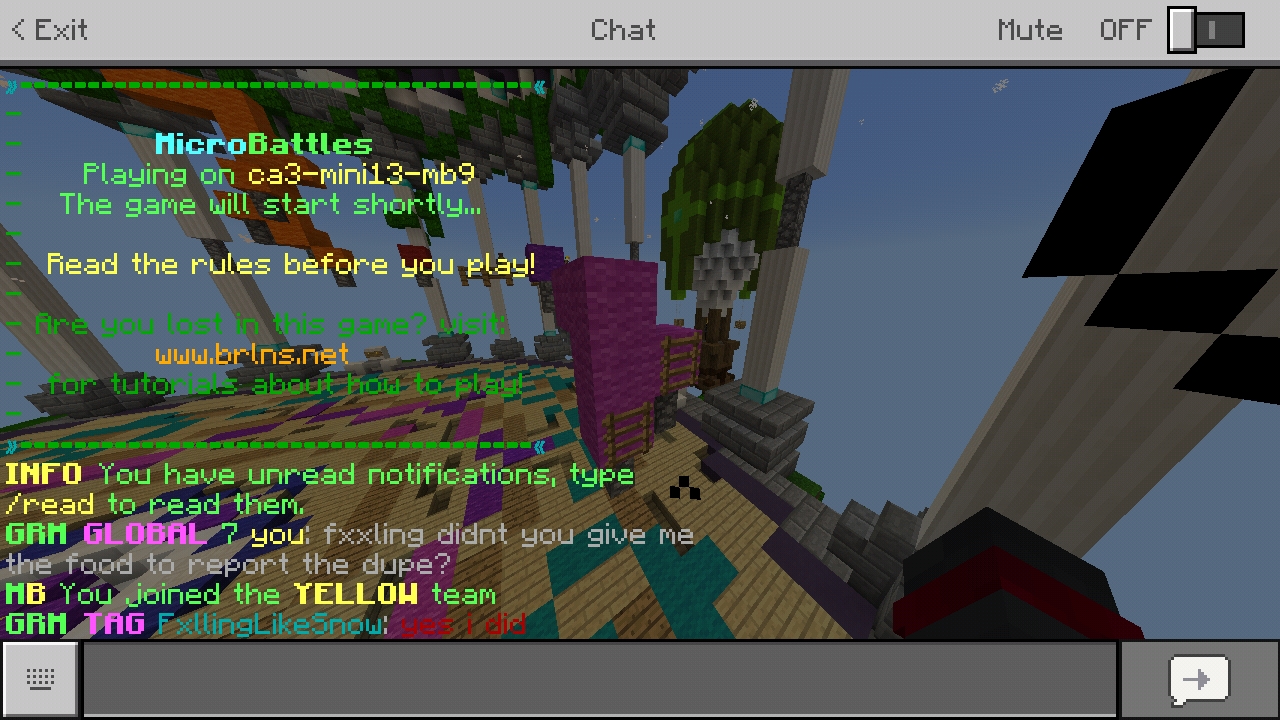 Screenshot_٢٠١٩٠١١٣-١٢٤١٤٣_Minecraft.jpg