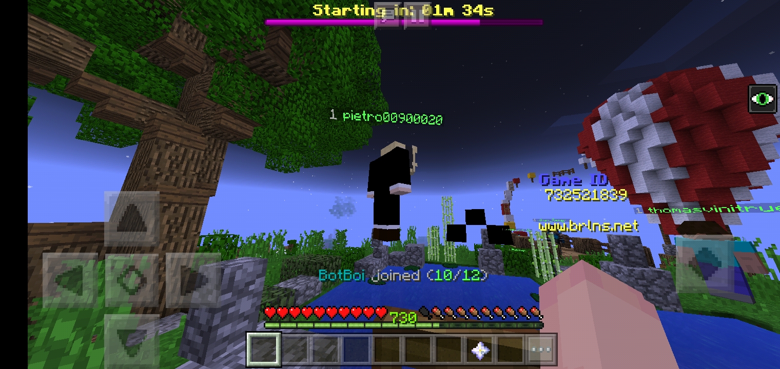 Screenshot_٢٠٢٠١٠٣١-٠٠١٥٢٦_Minecraft.jpg