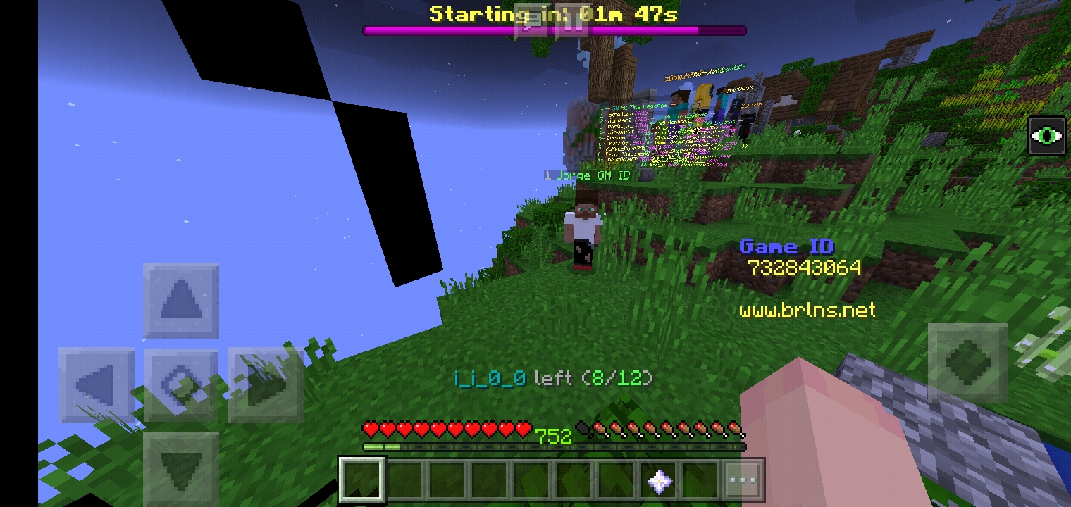 Screenshot_٢٠٢٠١١١٧-١٢٠٥٤٥_Minecraft.jpg