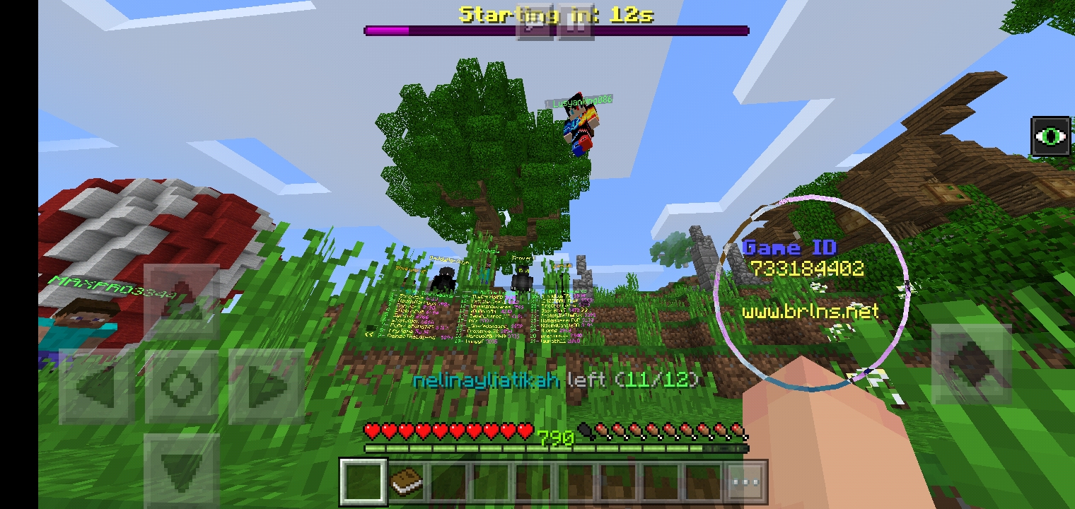 Screenshot_٢٠٢٠١٢٠٥-١٢٥٨٢١_Minecraft.jpg
