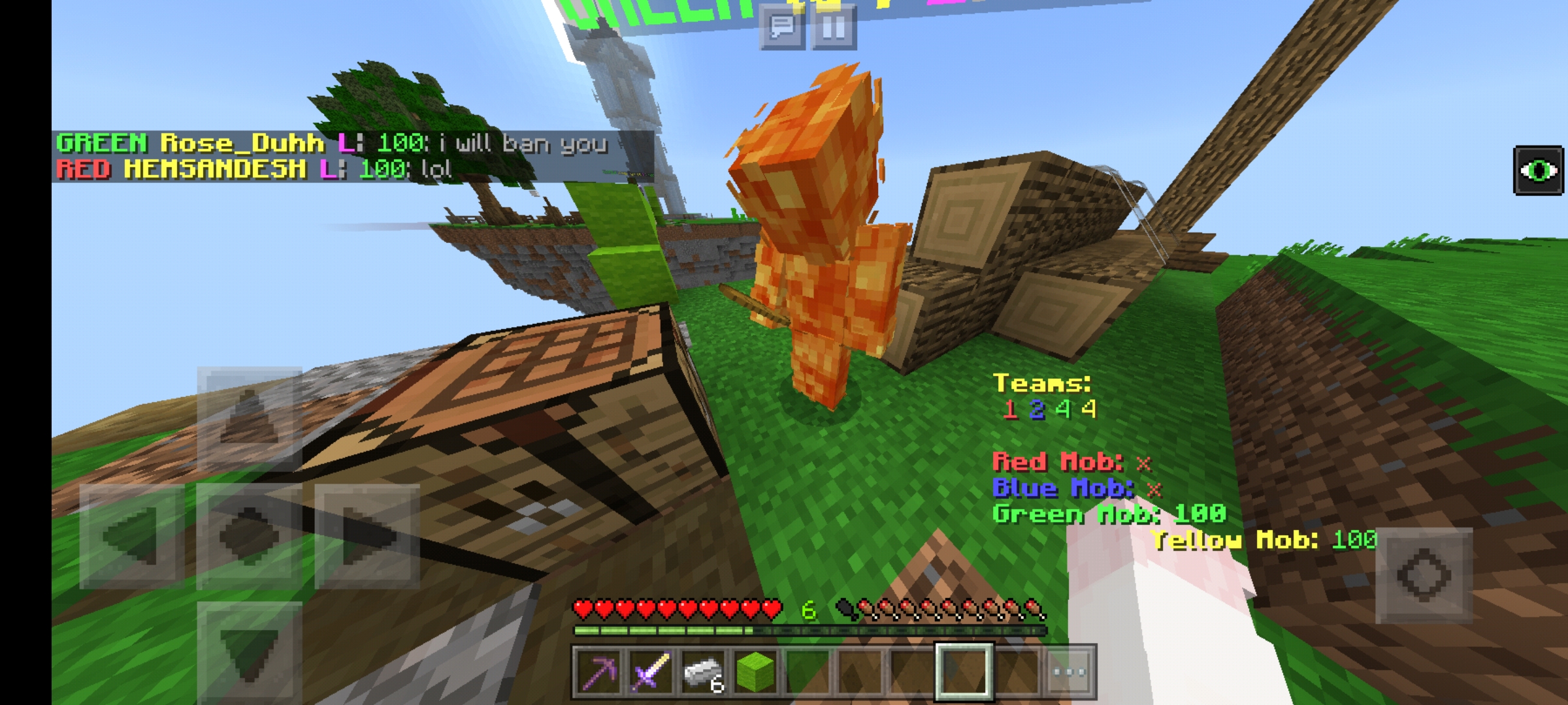 Screenshot_۲۰۲۱۰۱۰۷-۱۰۳۹۴۰_Minecraft.jpg