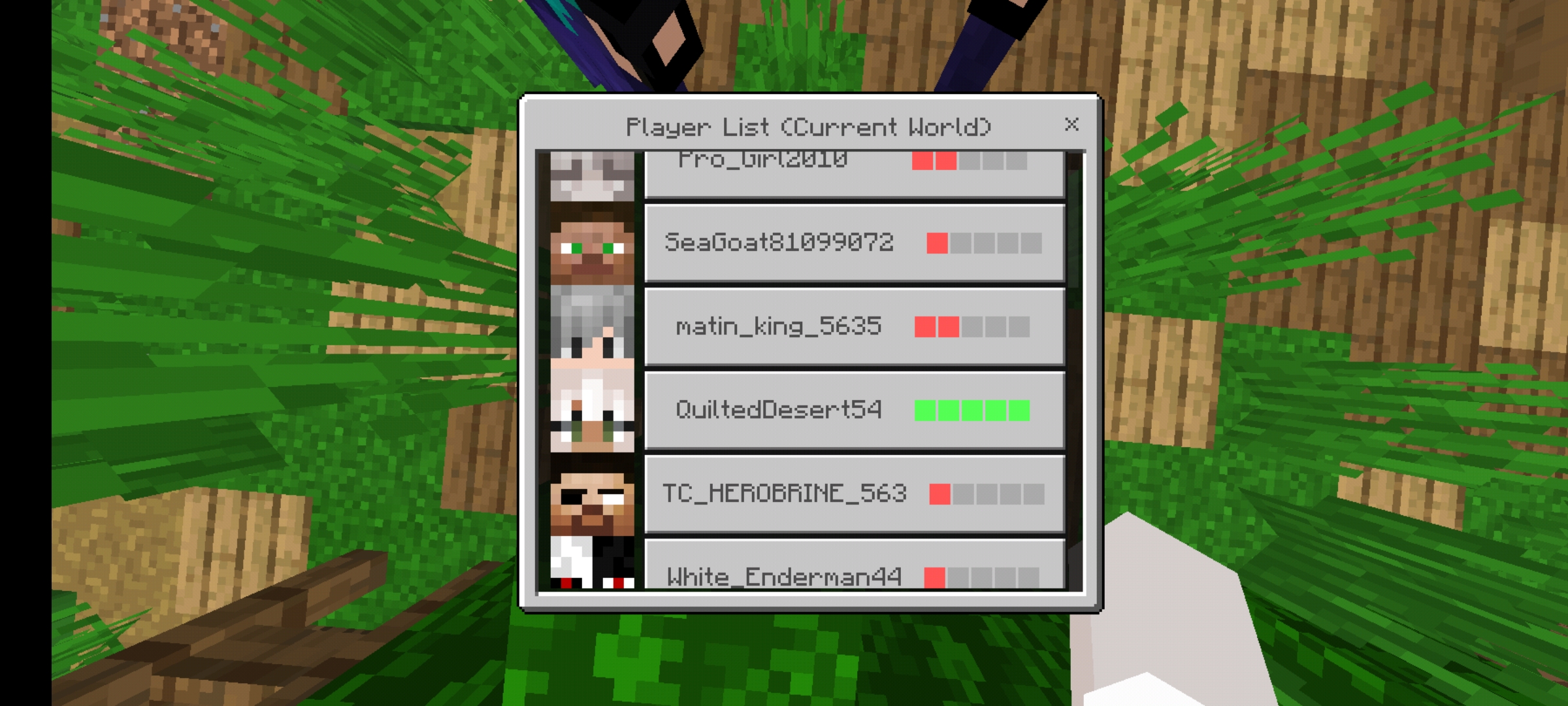 Screenshot_۲۰۲۱۰۱۲۱-۰۱۰۱۵۴_Minecraft.jpg