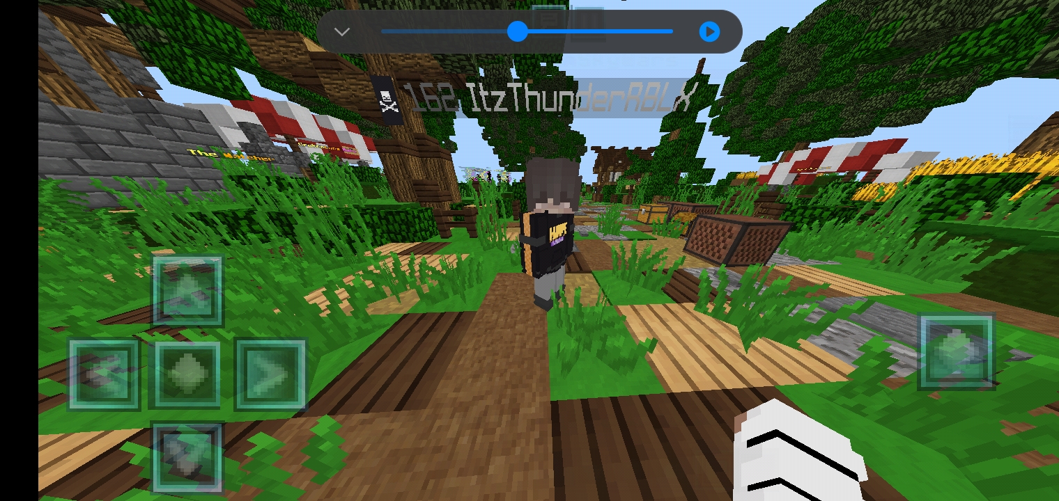 Screenshot_۲۰۲۱۰۳۱۰-۱۱۴۳۵۳_Minecraft.jpg