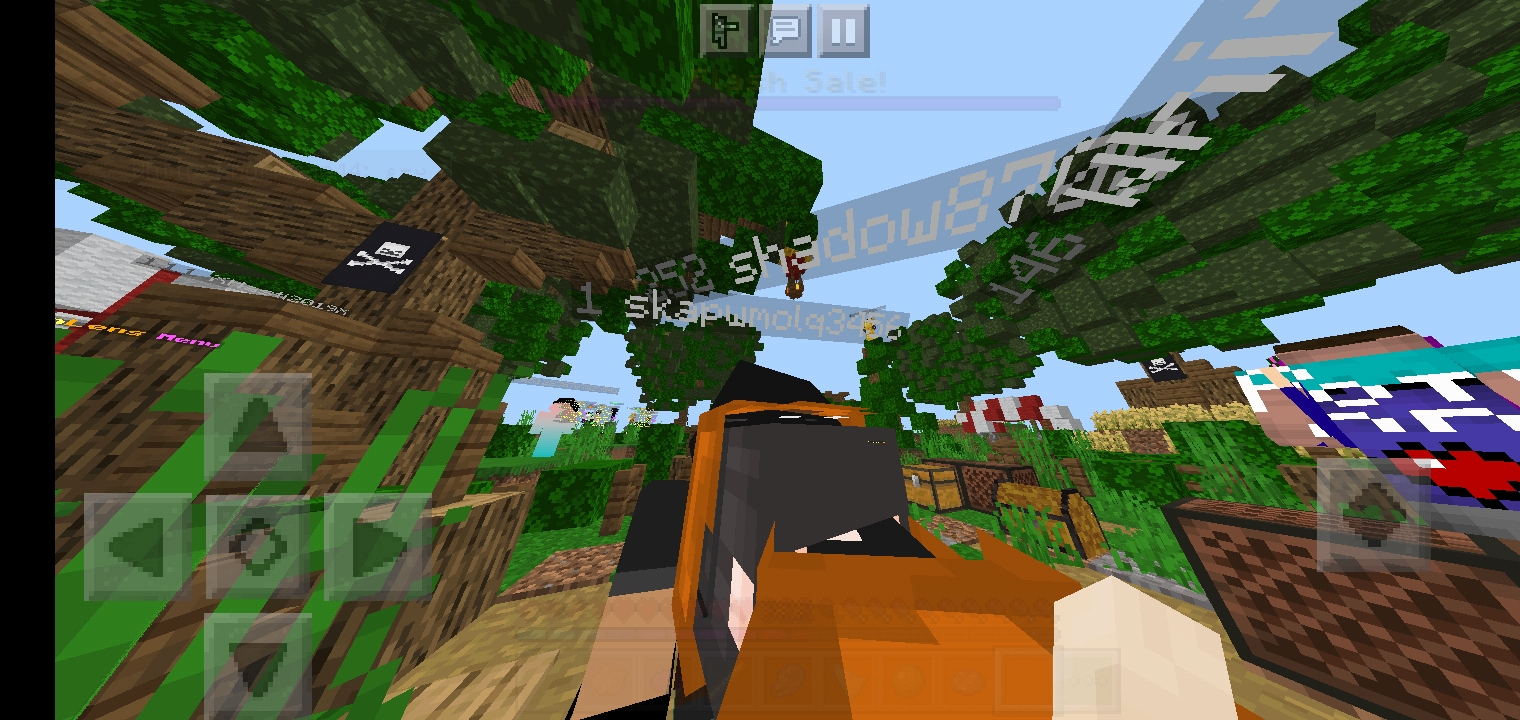 Screenshot_۲۰۲۱۰۳۱۱-۲۳۰۹۲۵_Minecraft.jpg
