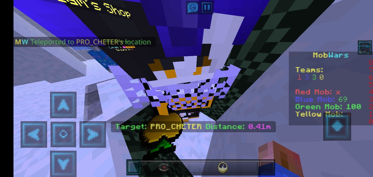 Screenshot_۲۰۲۱۰۳۱۳-۱۶۳۹۳۹_Minecraft.jpg