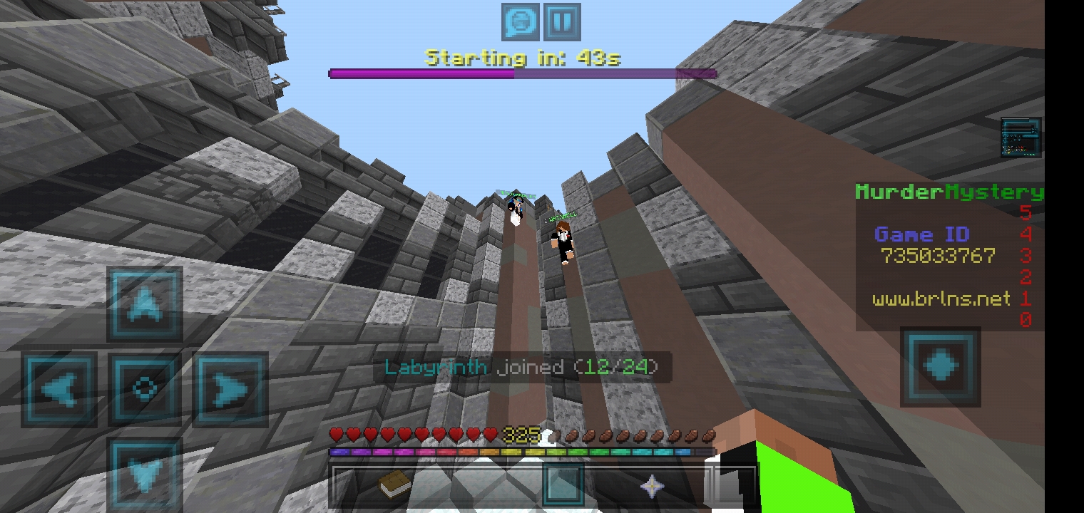 Screenshot_۲۰۲۱۰۳۱۳-۲۰۵۲۵۷_Minecraft.jpg