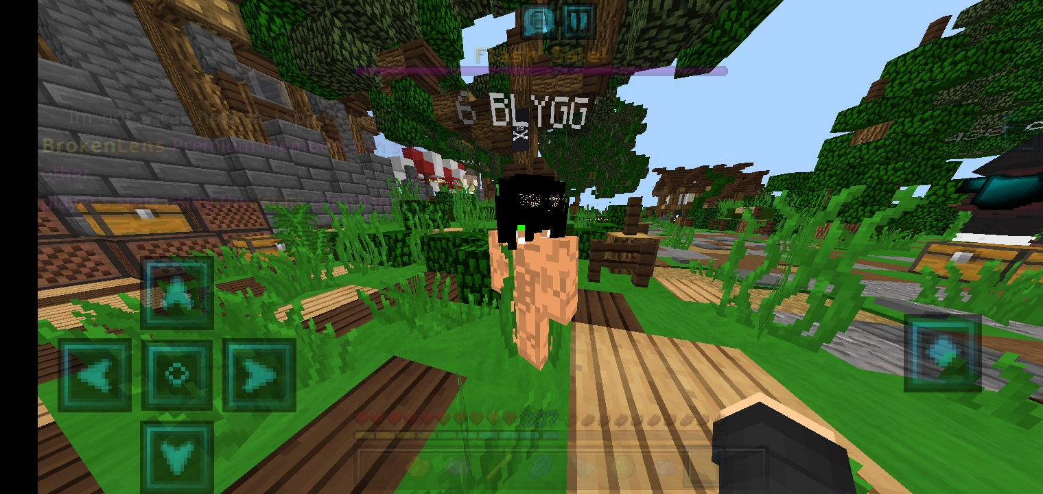 Screenshot_۲۰۲۱۰۳۱۴-۱۵۳۱۲۴_Minecraft.jpg