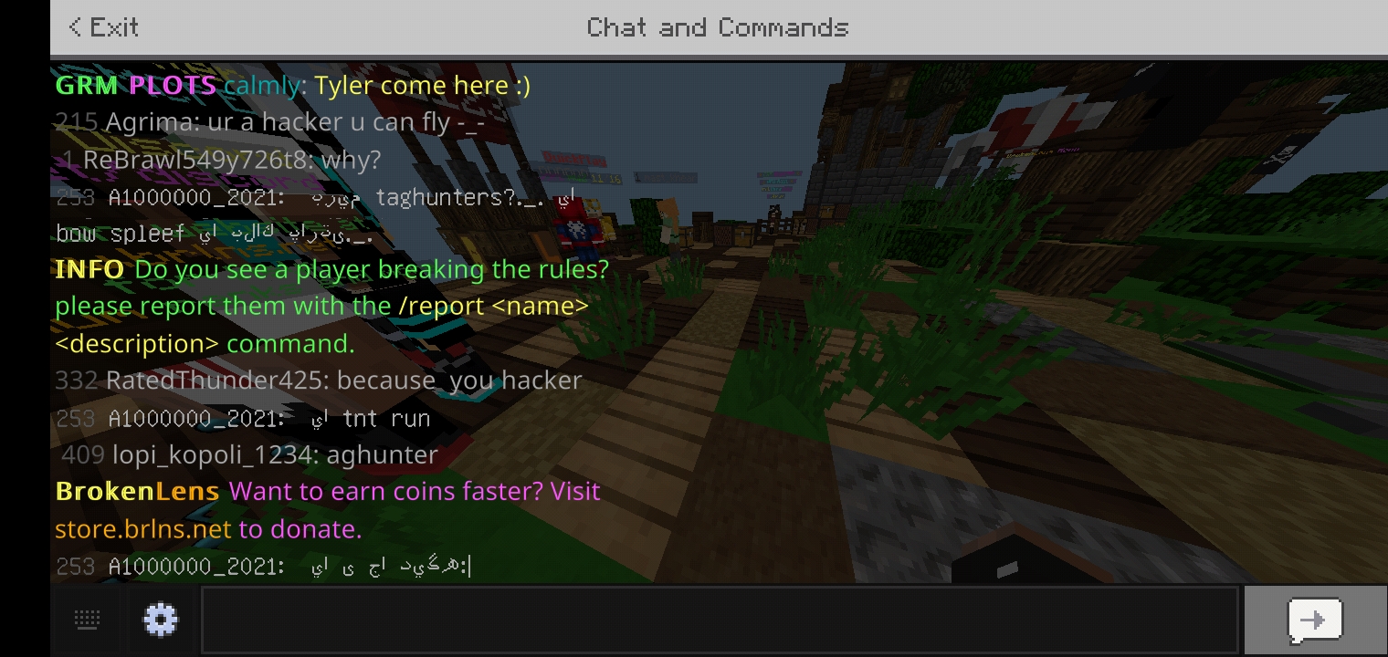 Screenshot_۲۰۲۱۰۳۱۸-۱۸۱۲۵۰_Minecraft.jpg