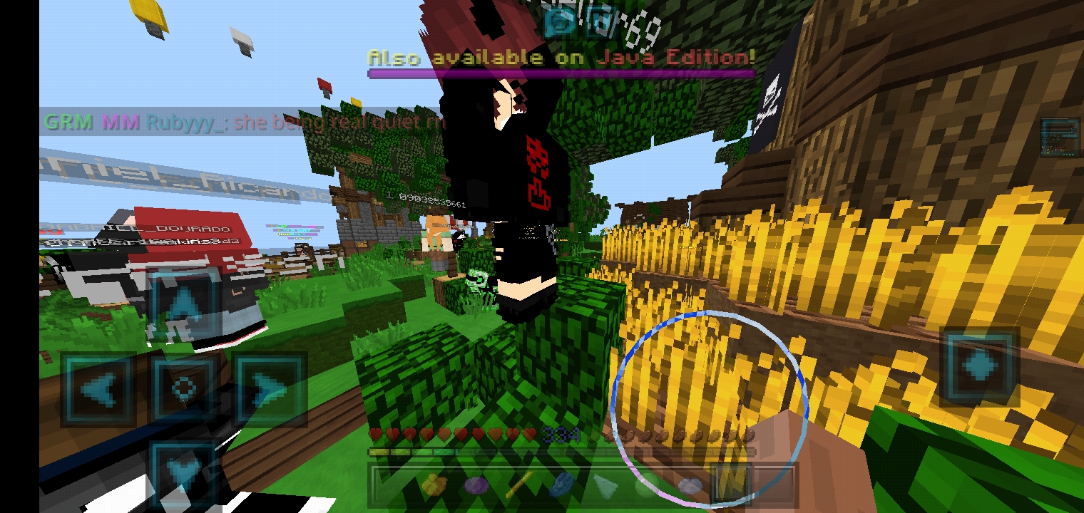 Screenshot_۲۰۲۱۰۳۱۹-۰۱۵۹۴۱_Minecraft.jpg