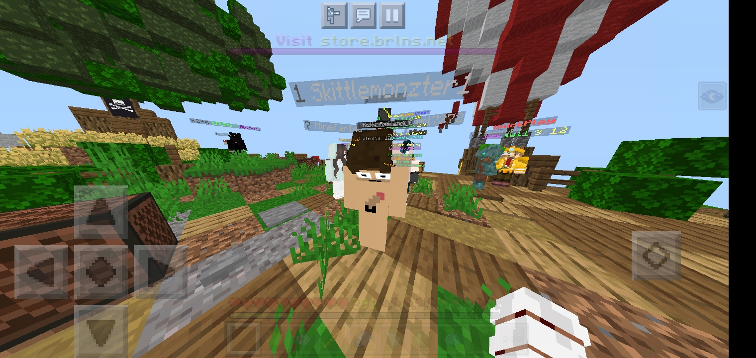 Screenshot_۲۰۲۱۰۴۰۱-۱۴۵۵۲۴_Minecraft.jpg