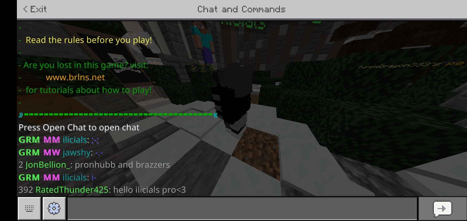 Screenshot_۲۰۲۱۰۴۰۳-۱۳۰۱۰۲_Minecraft.jpg