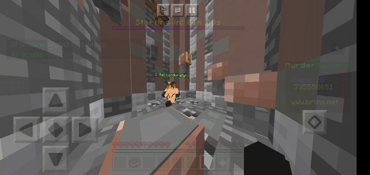 Screenshot_۲۰۲۱۰۴۱۳-۱۱۳۶۵۹_Minecraft.jpg