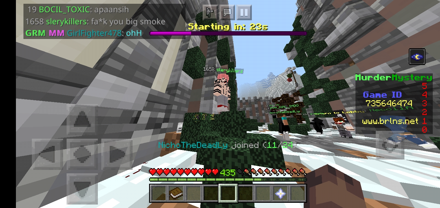 Screenshot_۲۰۲۱۰۴۱۸-۱۱۴۱۰۳_Minecraft.jpg