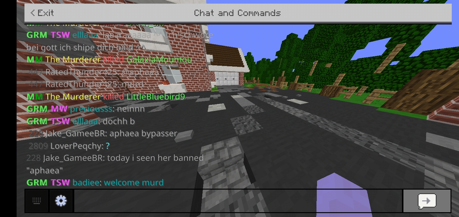 Screenshot_۲۰۲۱۰۴۲۶-۰۰۰۹۱۳_Minecraft.jpg