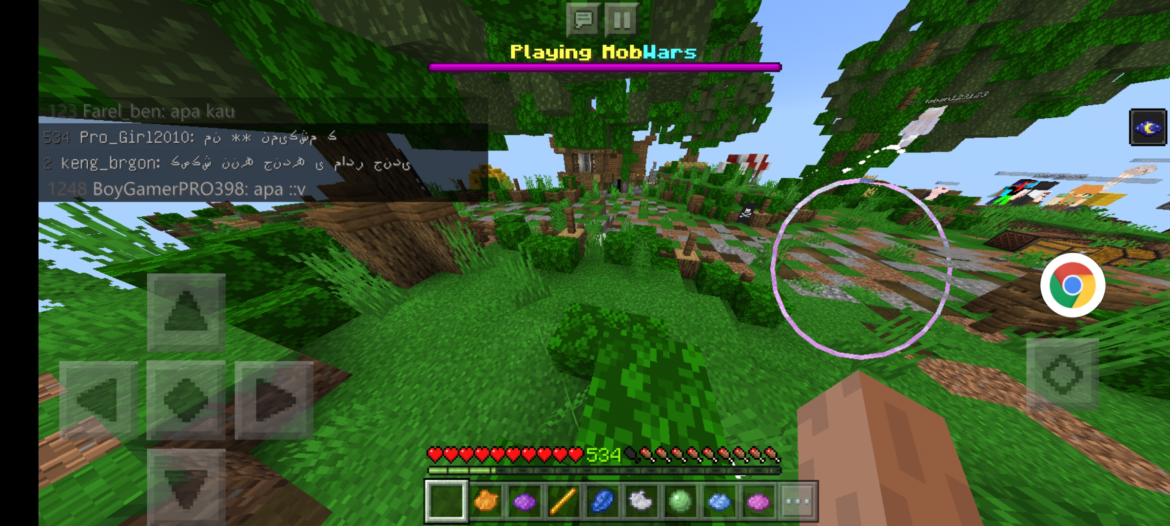 Screenshot_۲۰۲۱۰۵۰۹-۱۶۴۶۲۸_Minecraft.jpg