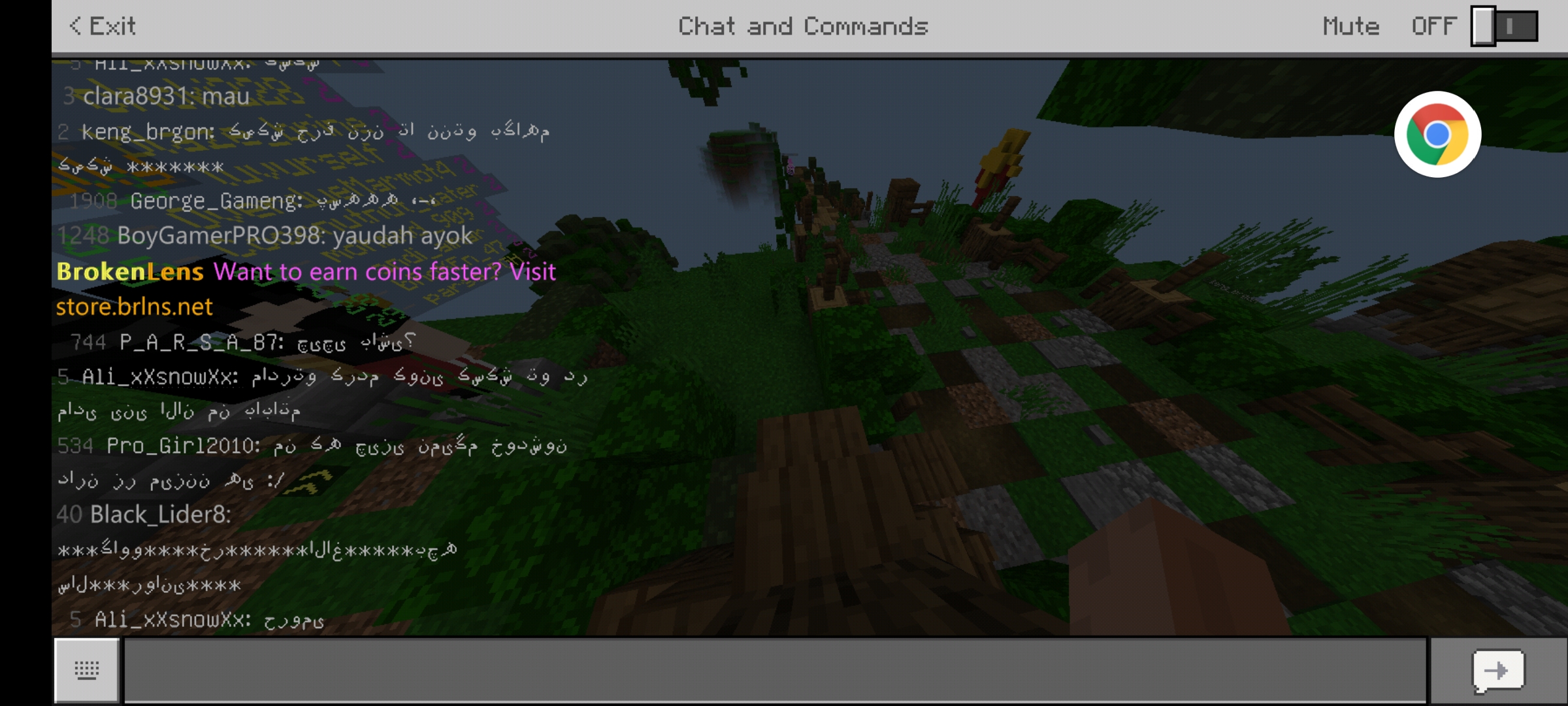 Screenshot_۲۰۲۱۰۵۰۹-۱۶۴۹۵۱_Minecraft.jpg