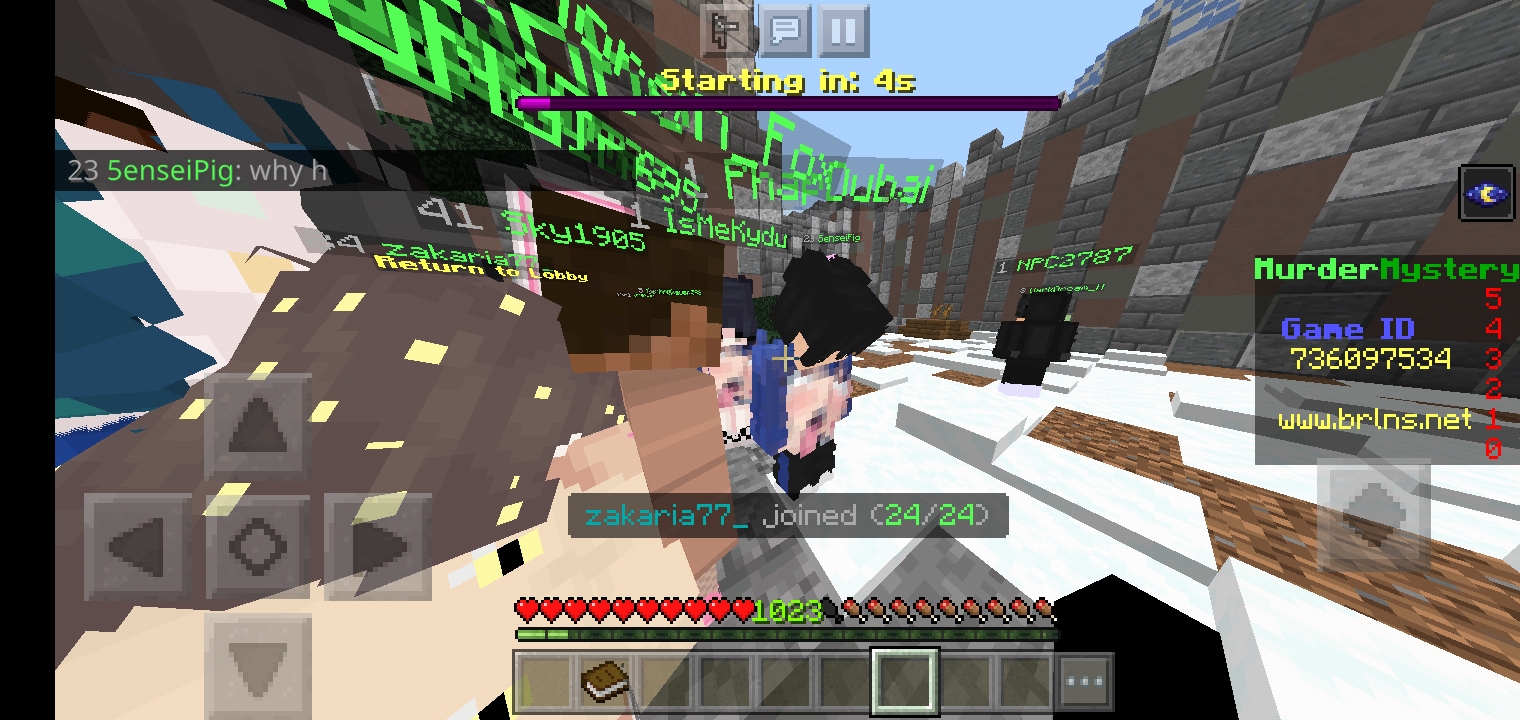 Screenshot_۲۰۲۱۰۵۱۵-۱۴۲۹۵۹_Minecraft.jpg