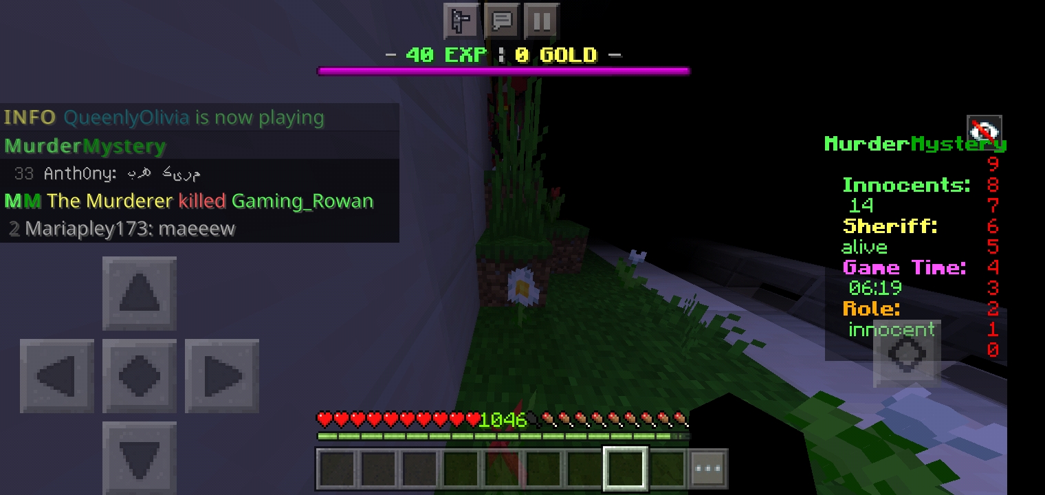 Screenshot_۲۰۲۱۰۵۱۷-۱۶۰۱۵۴_Minecraft.jpg