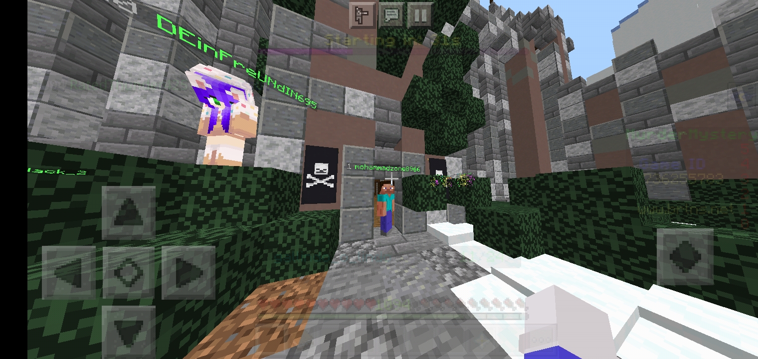 Screenshot_۲۰۲۱۰۵۲۵-۱۹۳۳۴۸_Minecraft.jpg