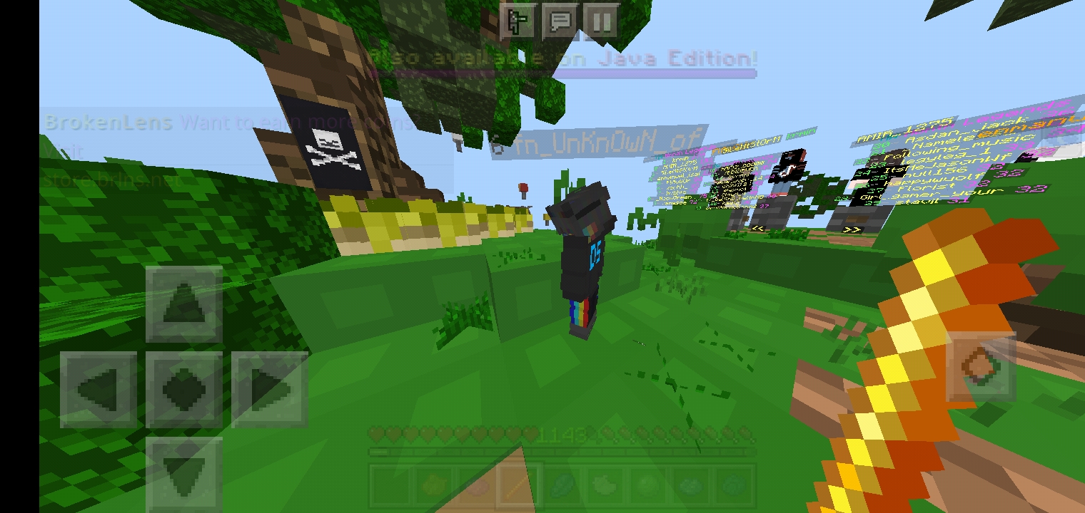 Screenshot_۲۰۲۱۰۶۰۸-۱۴۰۱۰۰_Minecraft.jpg