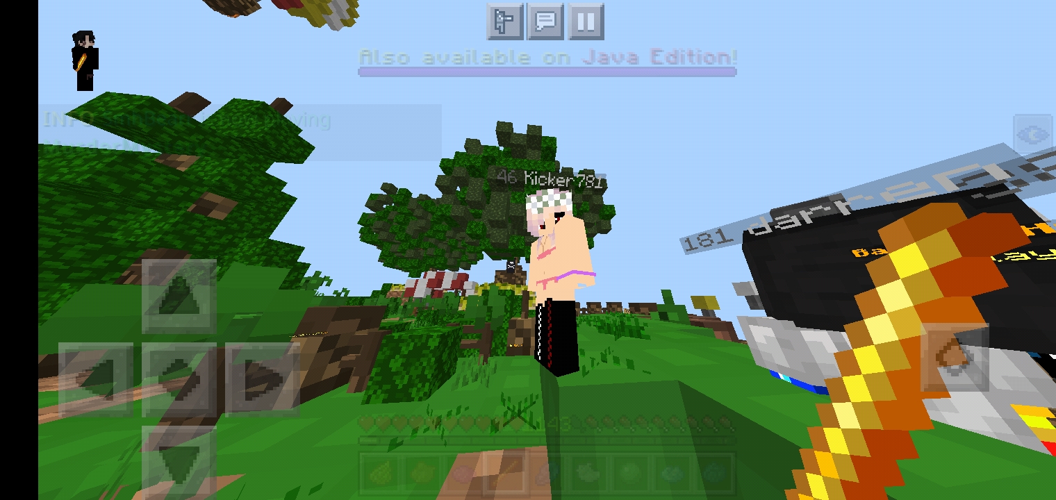Screenshot_۲۰۲۱۰۶۰۸-۱۶۰۶۵۲_Minecraft.jpg
