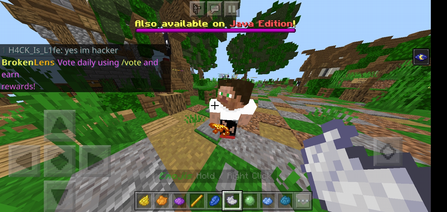 Screenshot_۲۰۲۱۰۶۱۰-۱۴۰۷۵۵_Minecraft.jpg