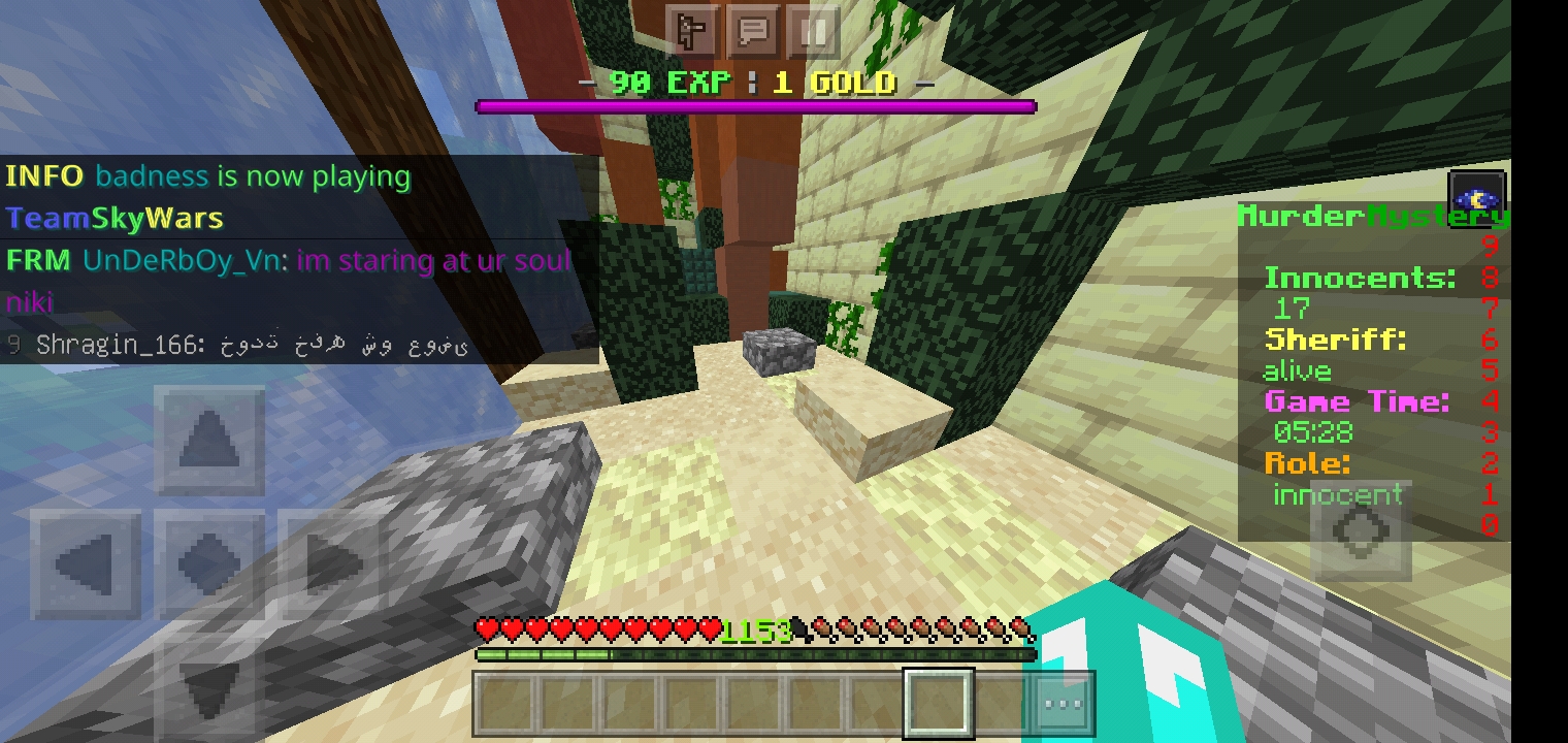 Screenshot_۲۰۲۱۰۶۱۱-۱۵۱۶۲۵_Minecraft.jpg