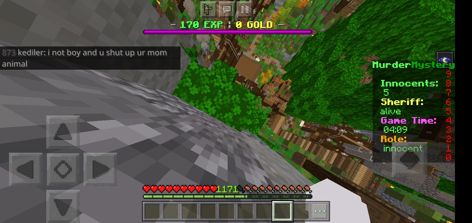 Screenshot_۲۰۲۱۰۶۲۲-۱۵۴۰۴۶_Minecraft.jpg