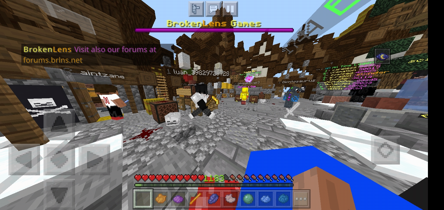 Screenshot_۲۰۲۱۰۶۲۹-۱۰۳۴۳۳_Minecraft.jpg