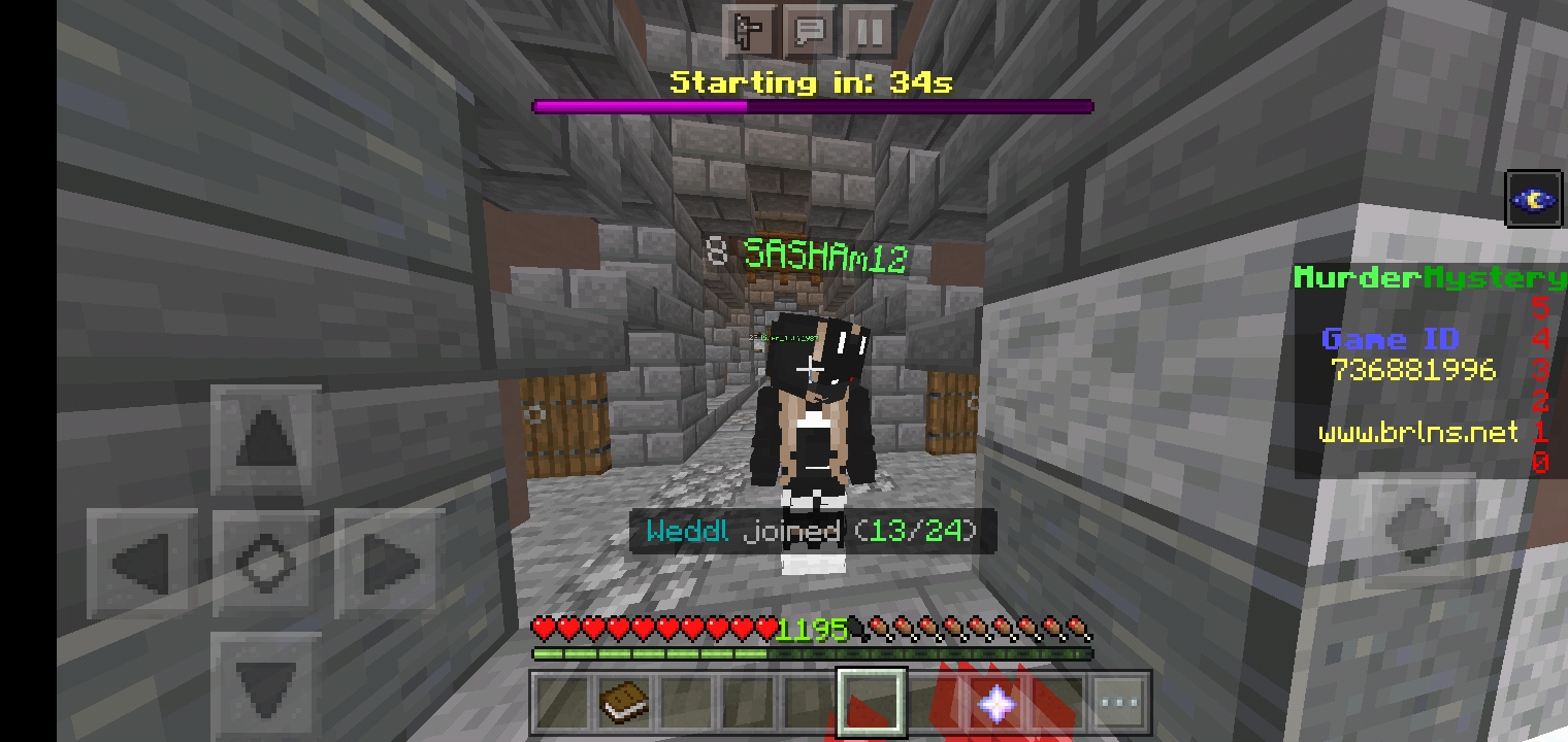 Screenshot_۲۰۲۱۰۷۰۳-۰۱۰۵۱۵_Minecraft.jpg