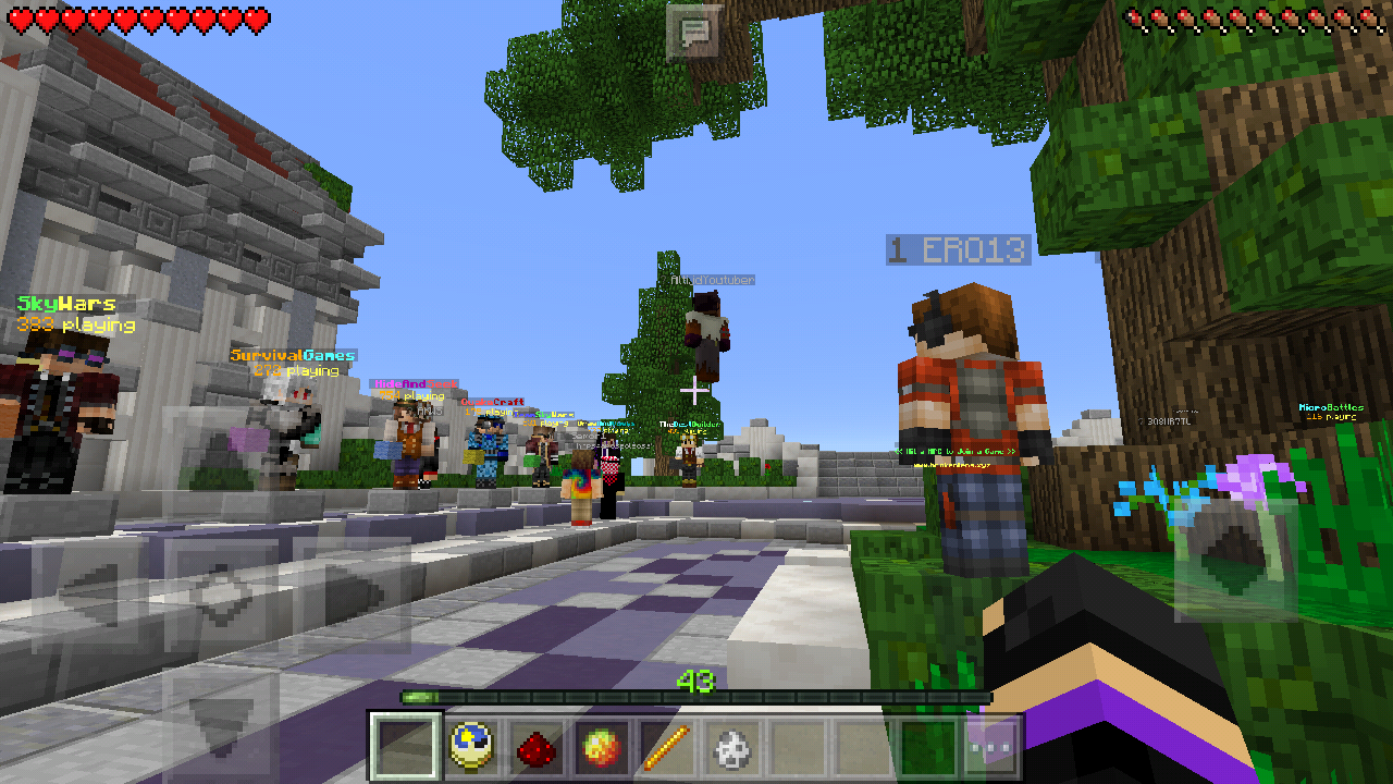 Screenshot_2016-10-02-16-50-44-246_com.mojang.minecraftpe.png