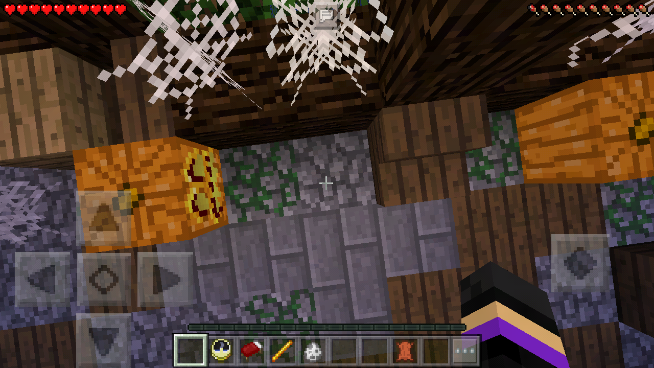 Screenshot_2016-10-29-15-14-32-335_com.mojang.minecraftpe.png