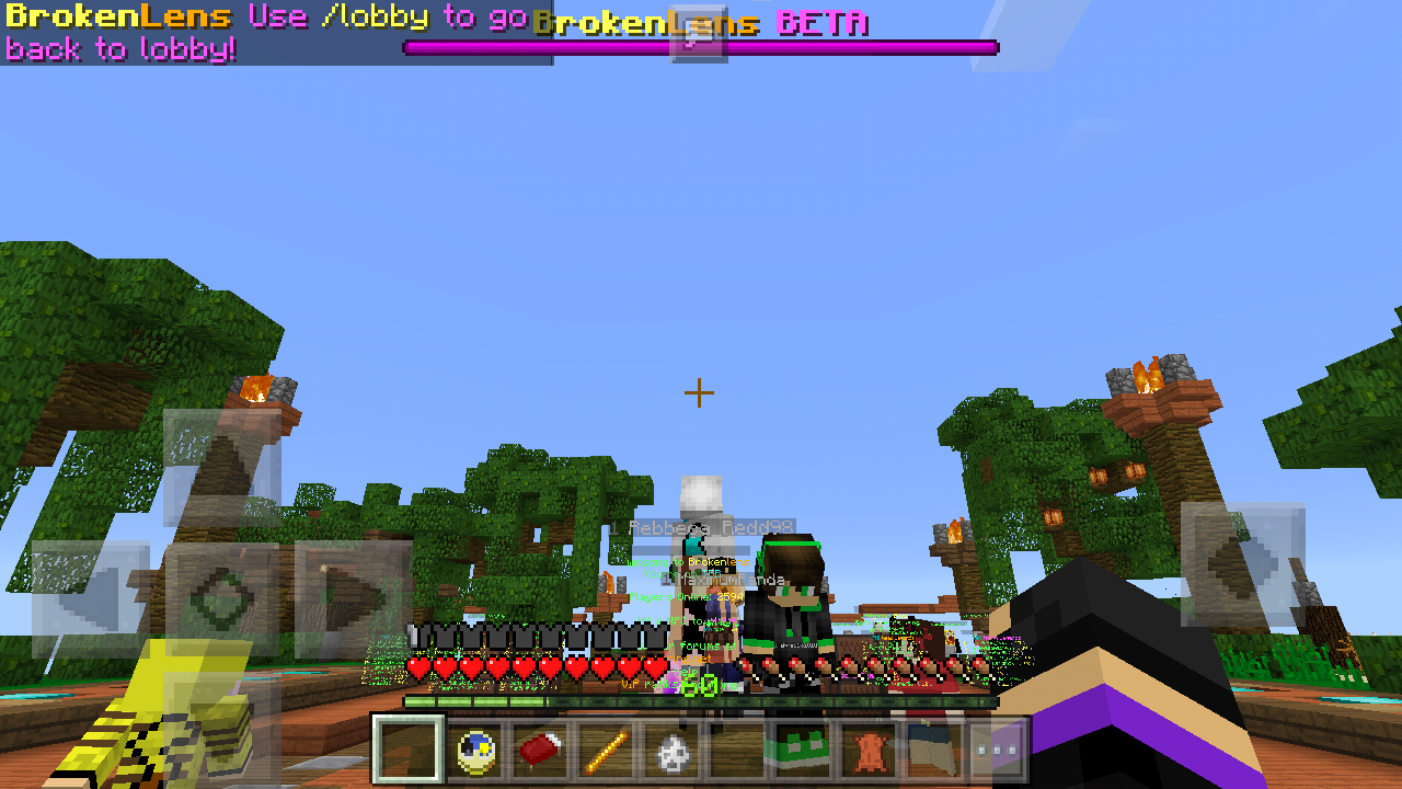 Screenshot_2016-11-06-07-57-09-490_com.mojang.minecraftpe.png