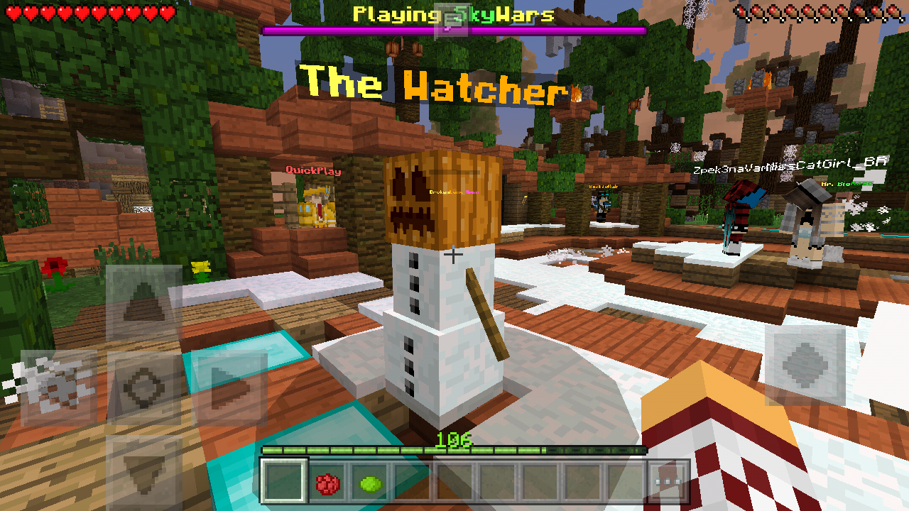 Screenshot_2016-12-20-07-53-19-384_com.mojang.minecraftpe.png