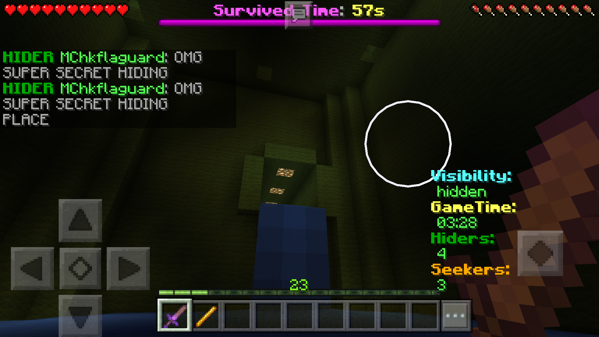 Screenshot_2017-02-02-16-34-33-517_com.mojang.minecraftpe.png