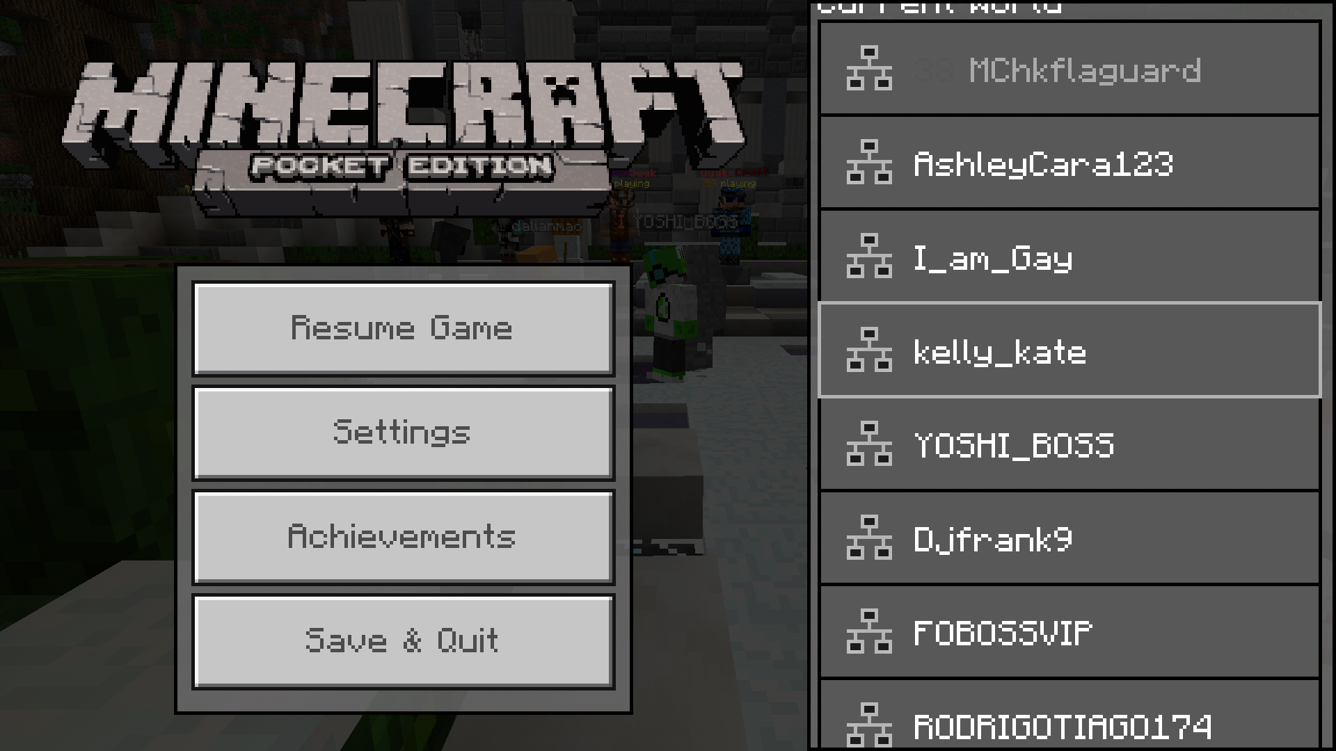 Screenshot_2017-04-04-11-30-33-915_com.mojang.minecraftpe.png