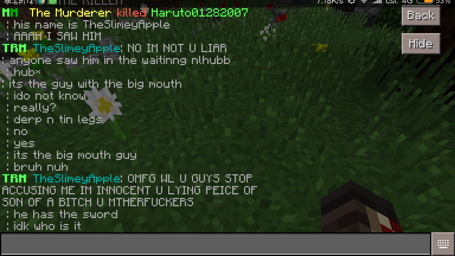 Screenshot_2017-05-28-21-12-49-931_com.mojang.minecraftpe.png