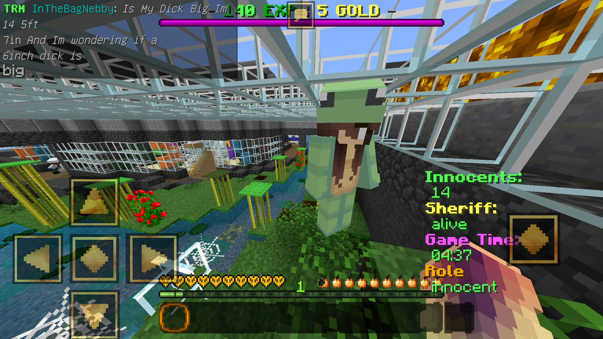 Screenshot_2017-08-13-13-12-39-523_com.mojang.minecraftpe.png