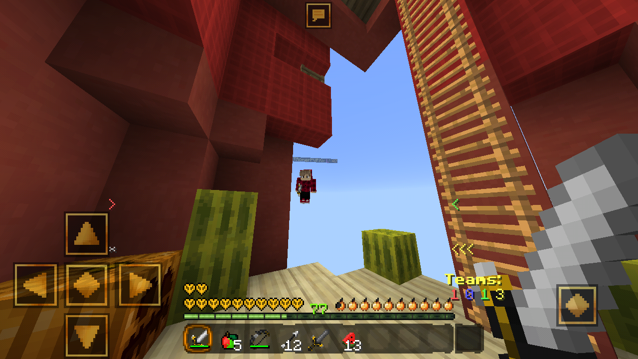 Screenshot_2017-08-15-15-31-05-689_com.mojang.minecraftpe.png