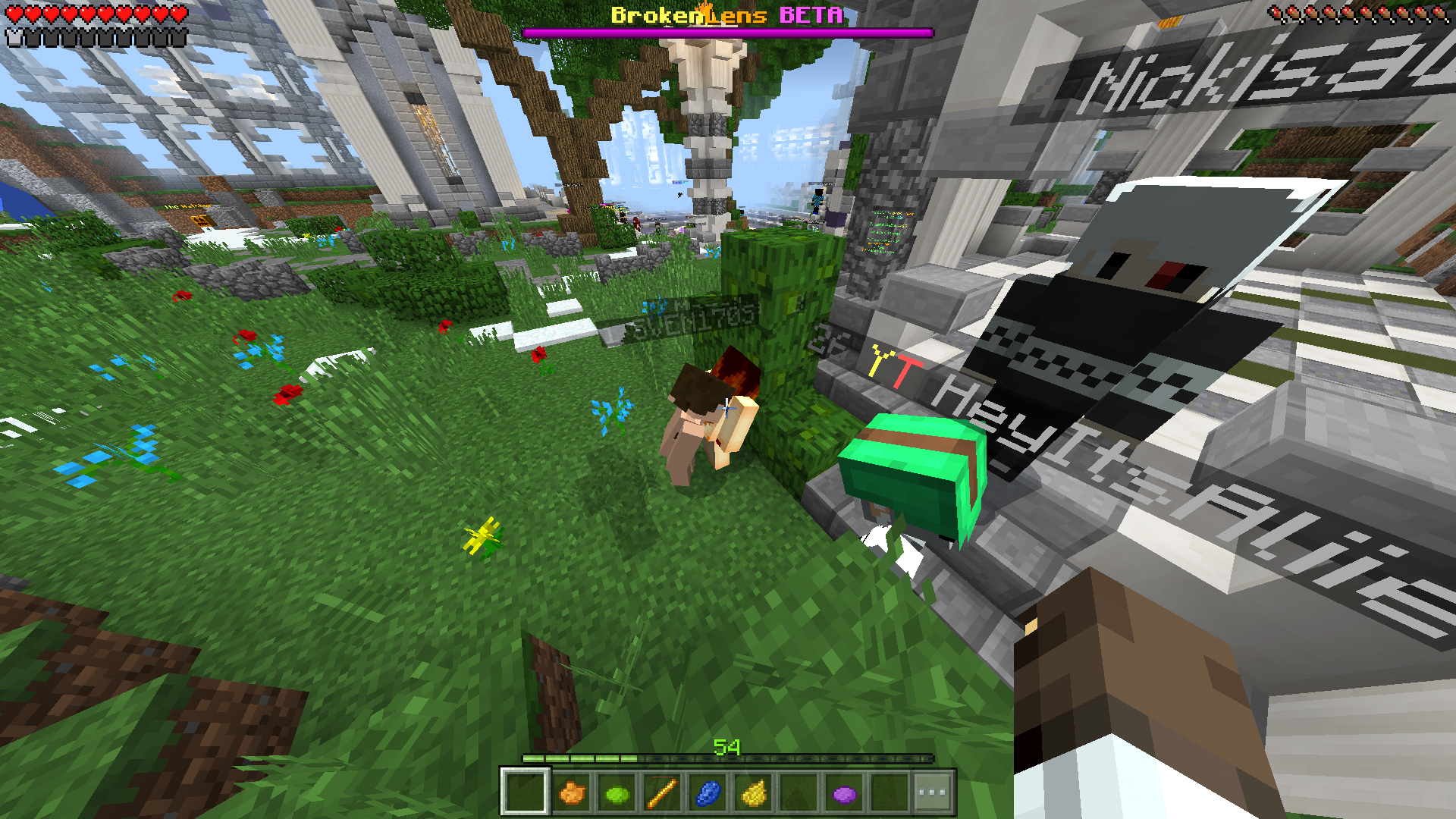 Screenshot_2017-08-30-00-21-39-408_com.mojang.minecraftpe.png